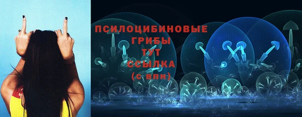 дурь Абаза