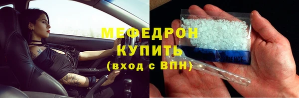 прущие грибы Осташков