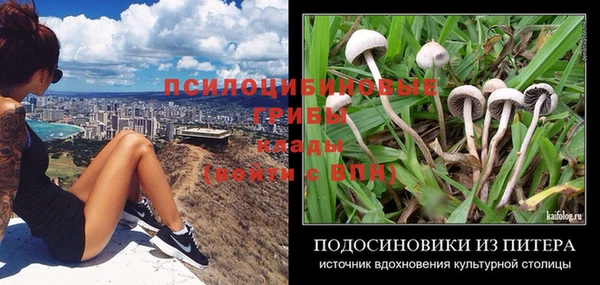 дурь Абаза