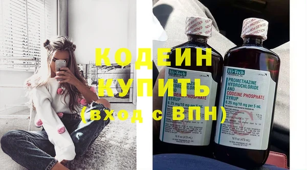 прущие грибы Осташков